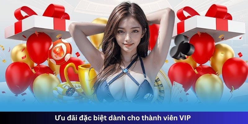 Ưu đãi đặc biệt dành cho thành viên VIP