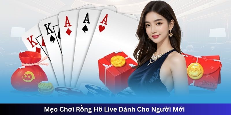 Mẹo Chơi Rồng Hổ Live Dành Cho Người Mới